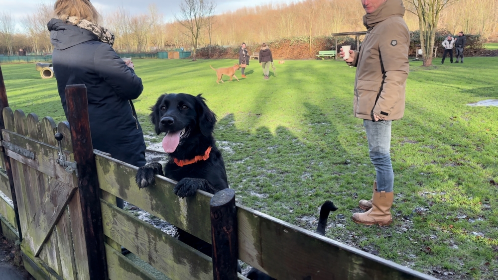 1c2d7c43de071e7bbd415e7f962dc4e0 Generic