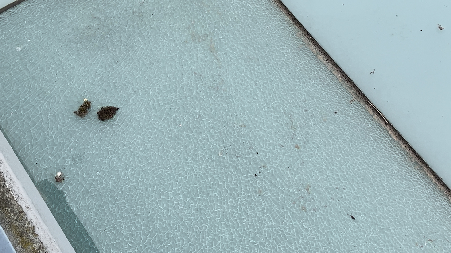 20250417_Plafondplaten_vallen.00_01_43_02.Still001.jpg