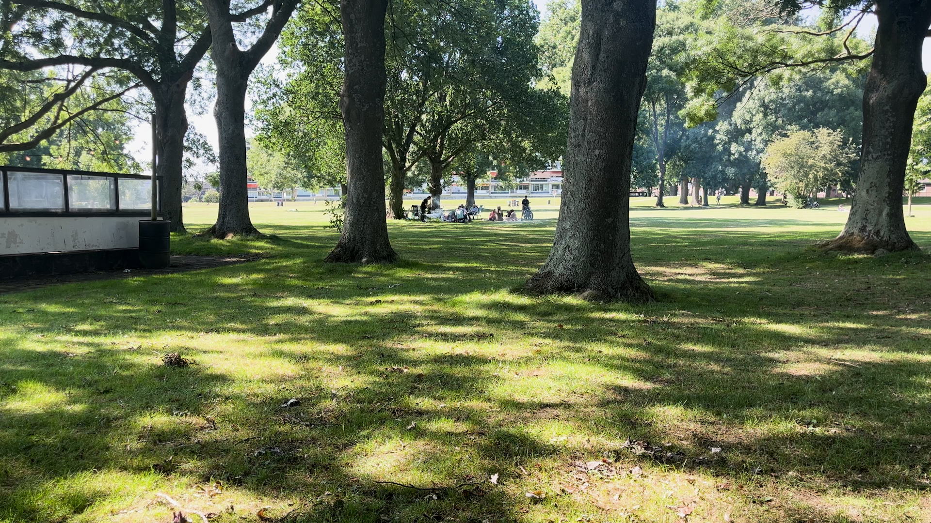 20250618_maasboulevard.00_00_06_17.Still001.jpg
