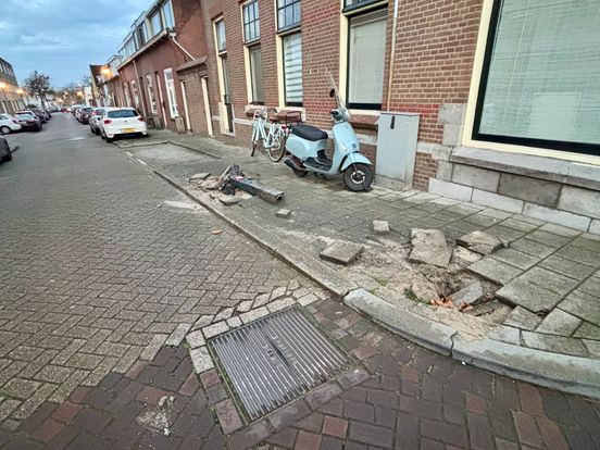 2696be85 8d2c 3d1c b2f7 1993e5f399e0