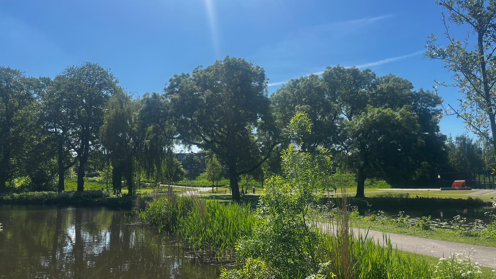 Kortlandpark.jpeg