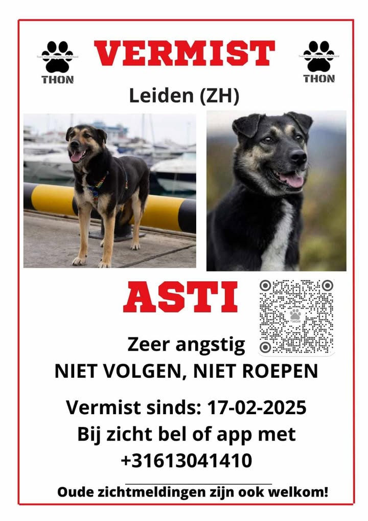 Poster asti2