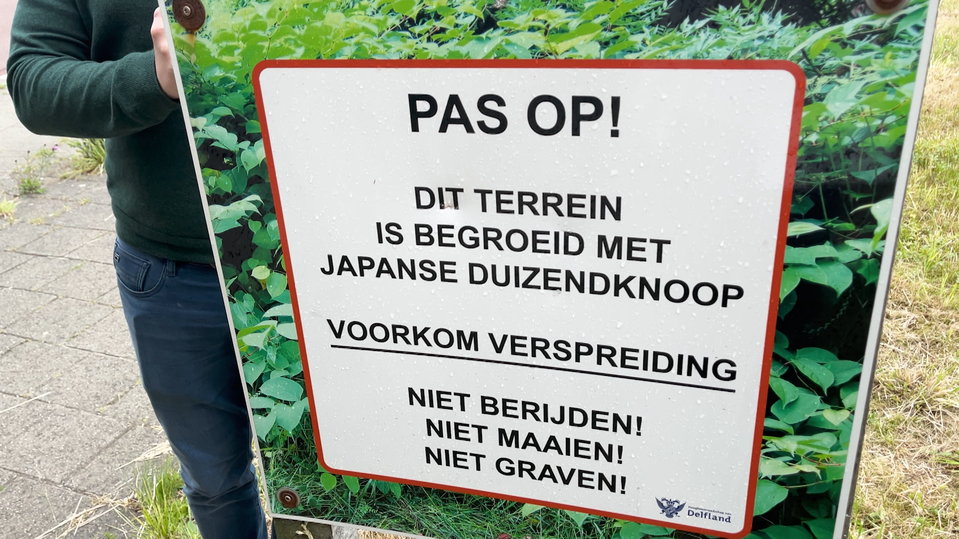 Schermafbeelding_2025-05-27_175202.png