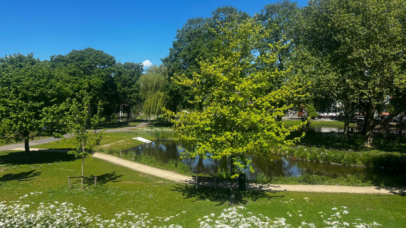 StrickledeparkNaamgeving_1.jpeg