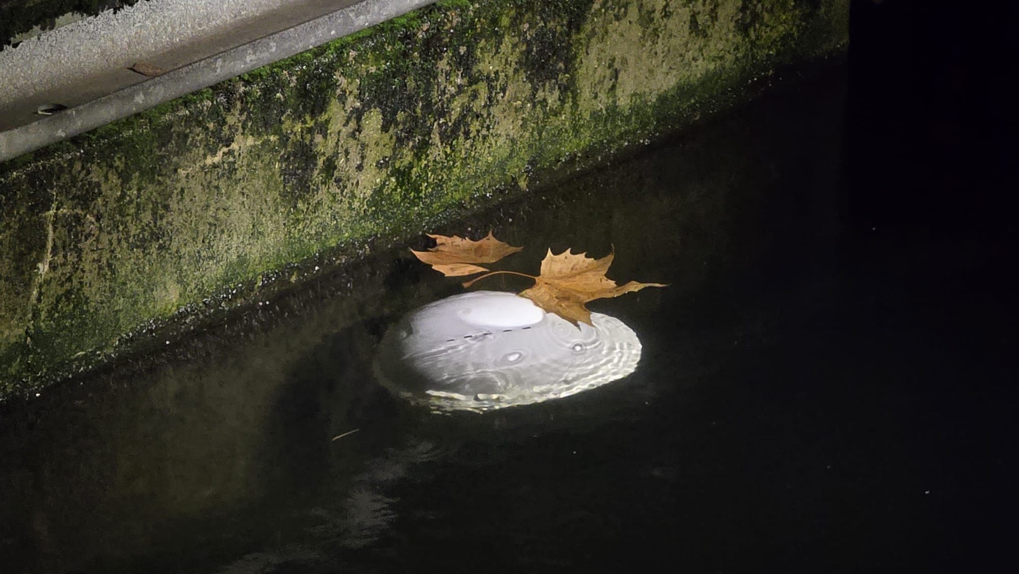 WhatsApp Image 2025 11 23 at 18.21.53