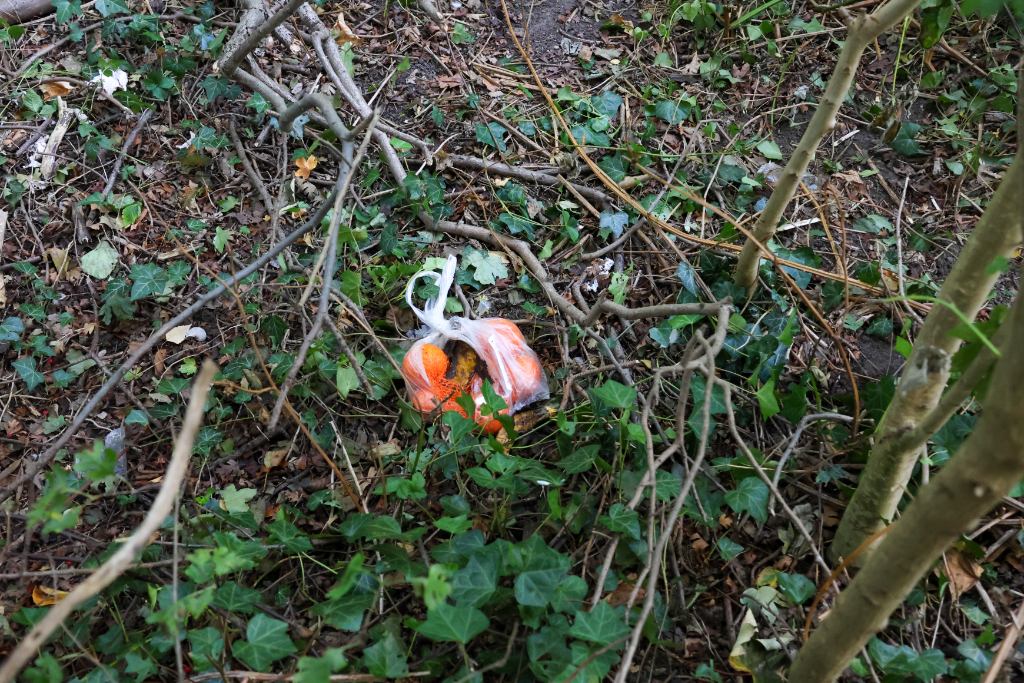 foto3hvbjhvbkbbkbkbjl