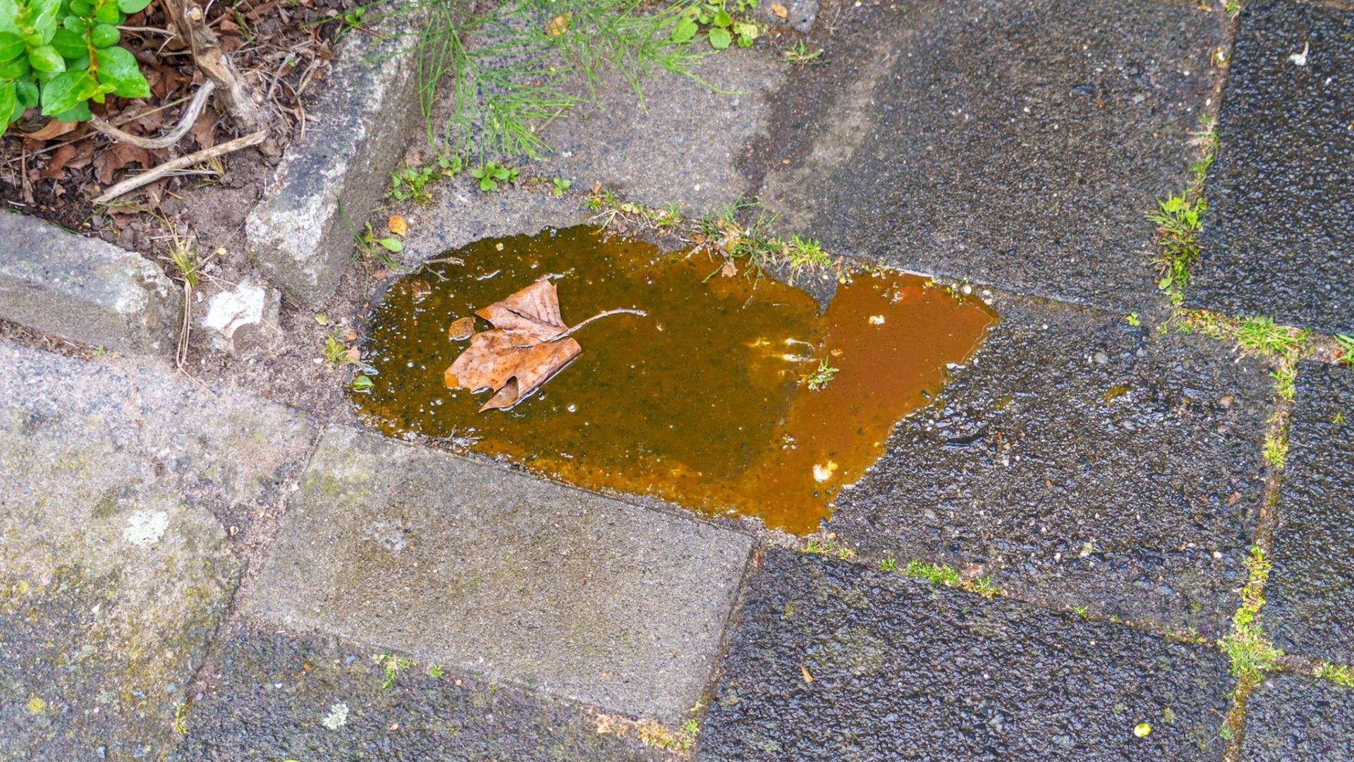 het_goedje.jpg