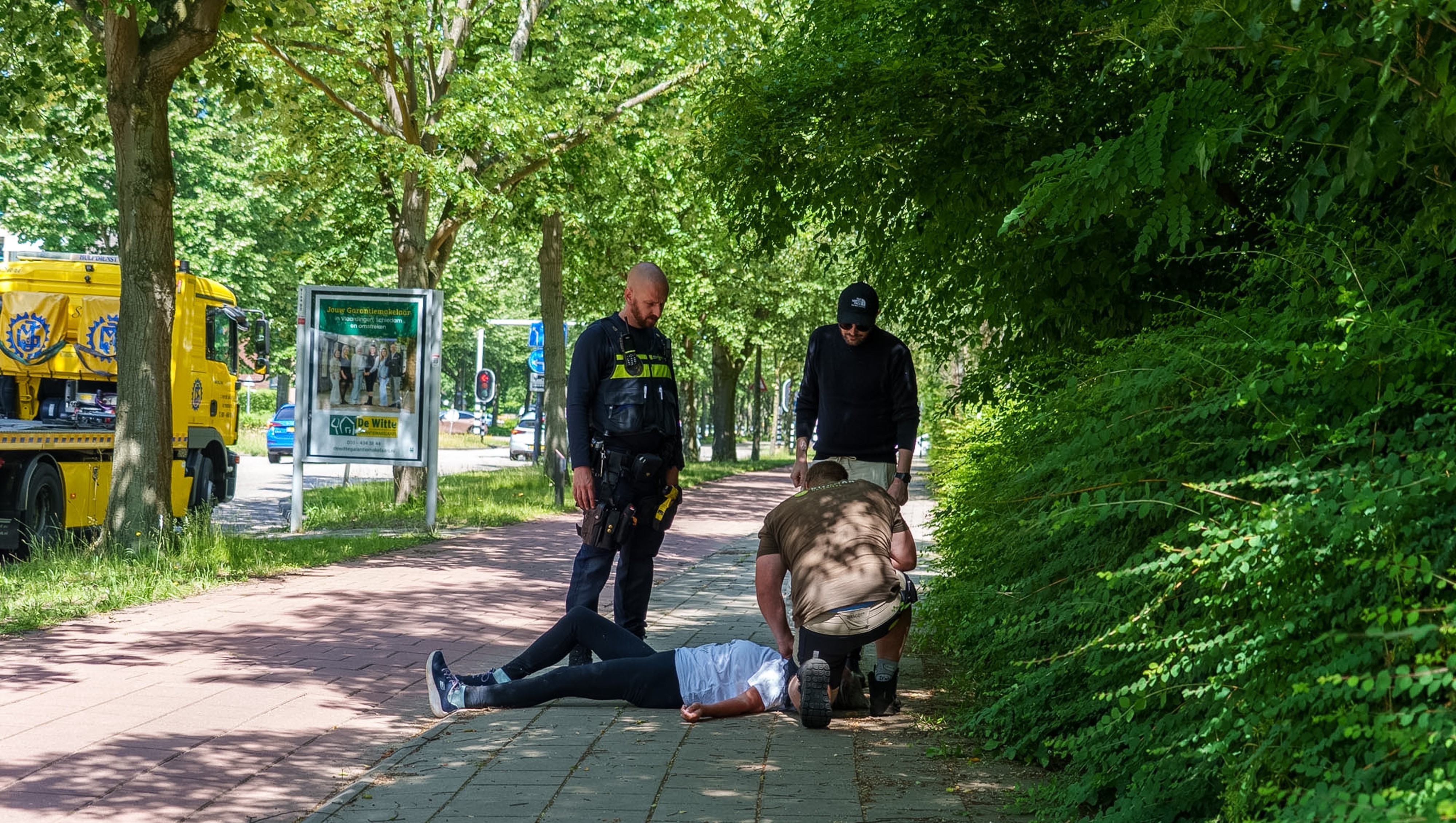 hond_onwel_3.jpg