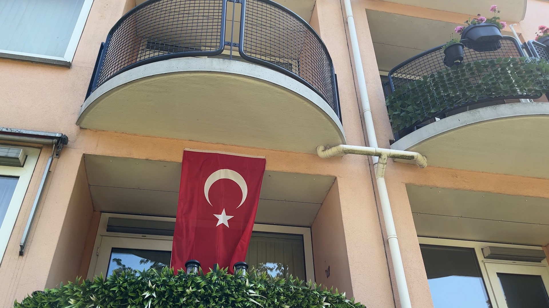 vlag_nieuwland.jpg