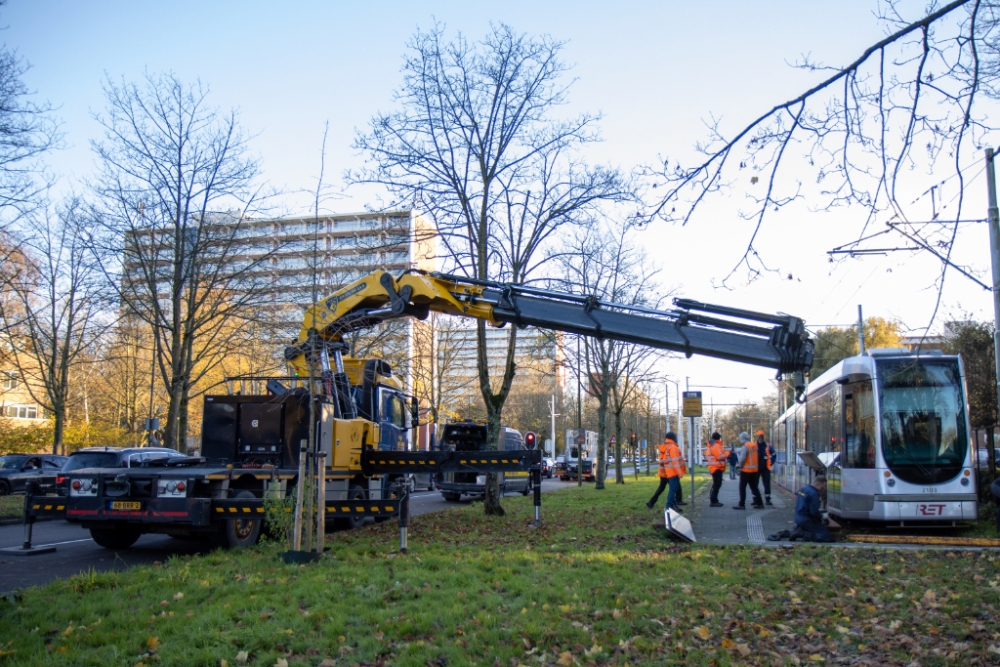 Tram ontspoort op Holysingel in Vlaardingen, blaadjes mogelijk oorzaak