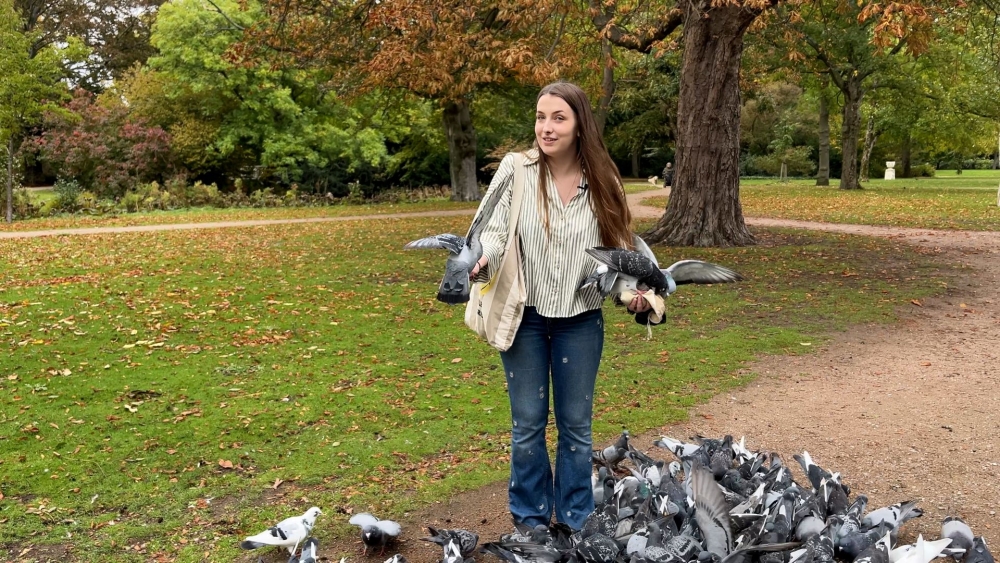 Serena (24) zet zich in voor duiven: ‘Ze zijn eigenlijk aan hun lot overgelaten’