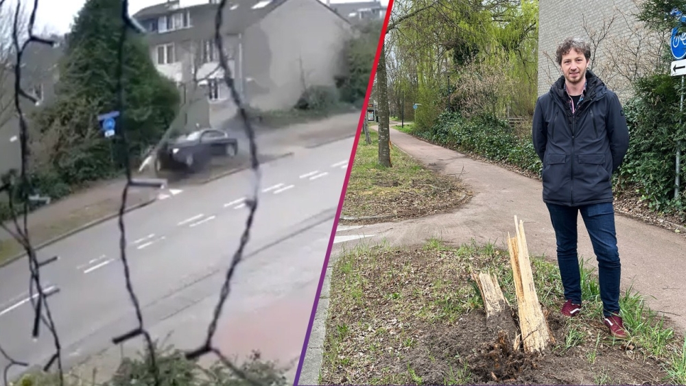 Auto rijdt tegen boom op Olmendreef, CDA vraagt aandacht voor hardrijders