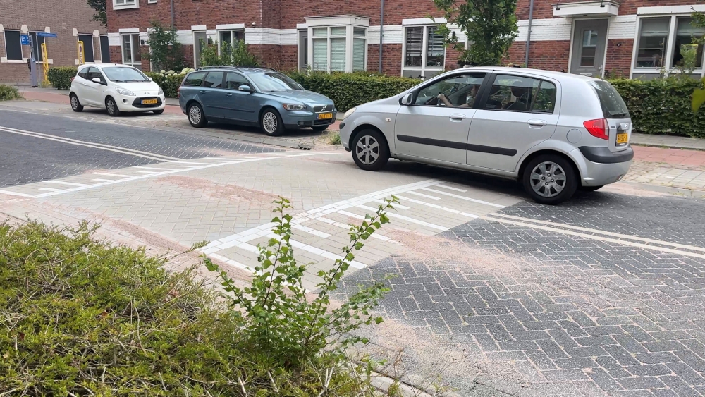 Extra verkeersdrempel aan de Hoflaan: ‘Ze rijden hier behoorlijk hard’