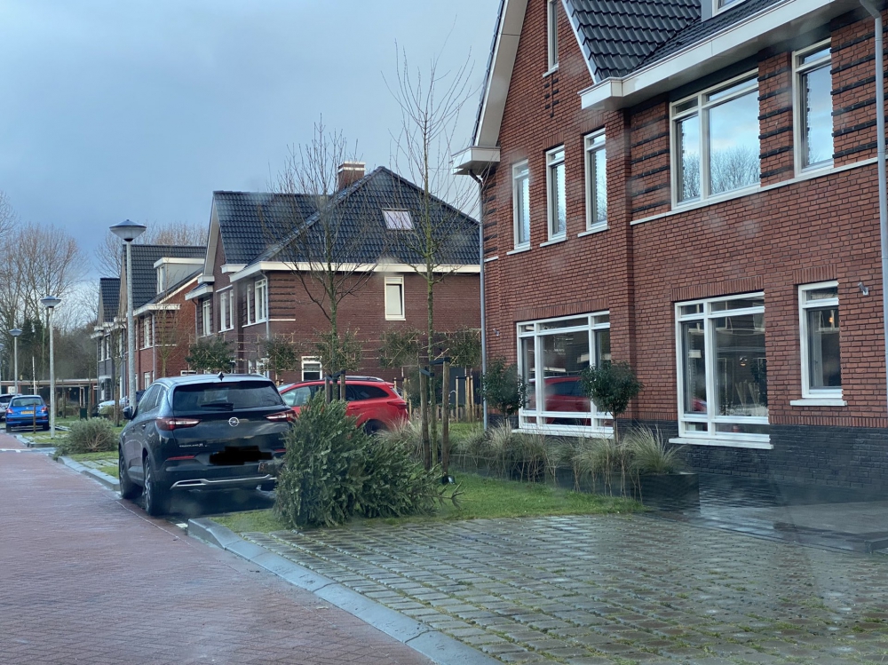 Wijktoezichthouder ergert zich aan 'neergegooide' kerstbomen