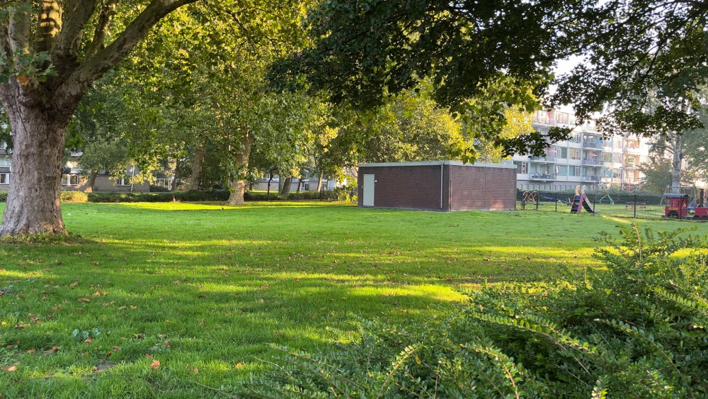 Waar blijven de flexwoningen in Schiedam? 'Is voor de stad een nieuw concept'