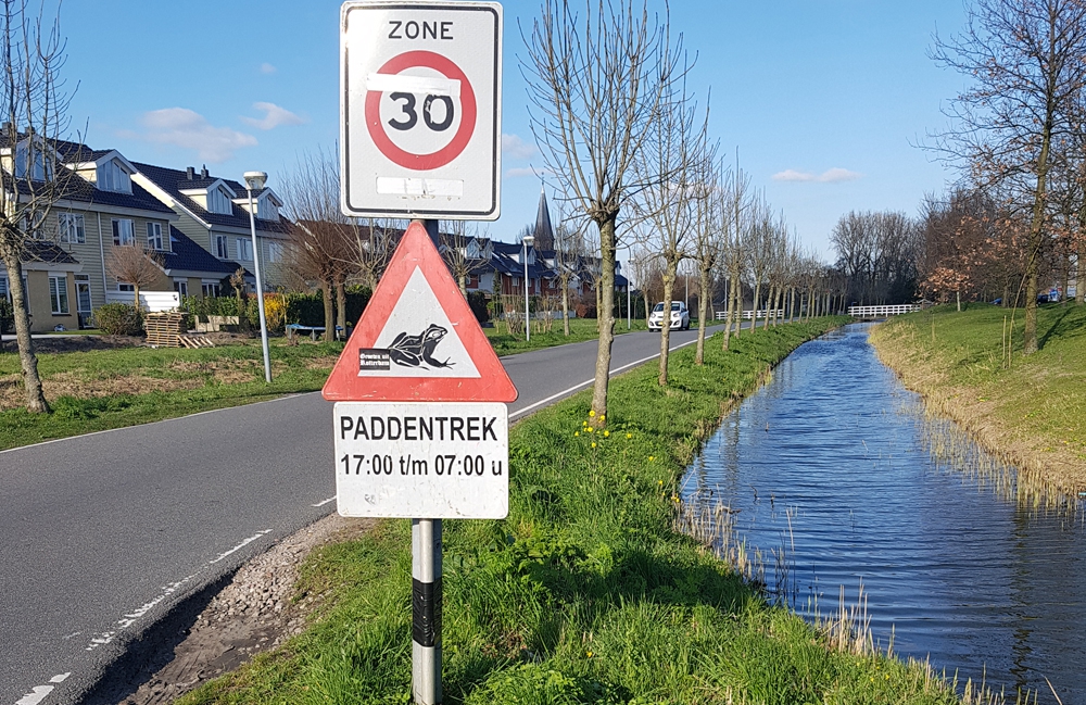 Kikkers doen niet aan 'social distancing'