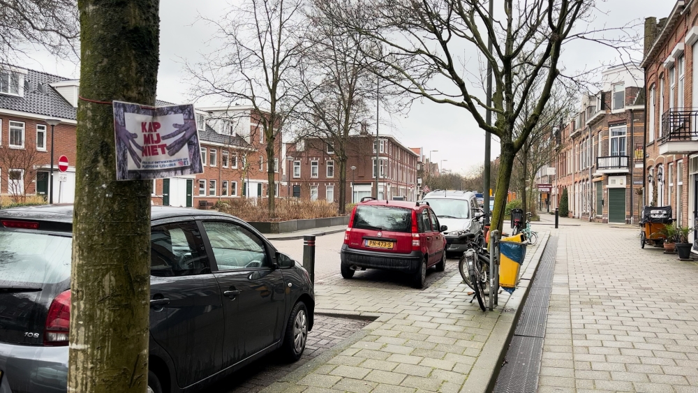 Bomen in de Sint Liduinastraat verdwijnen, vertrouwen in de gemeente ook