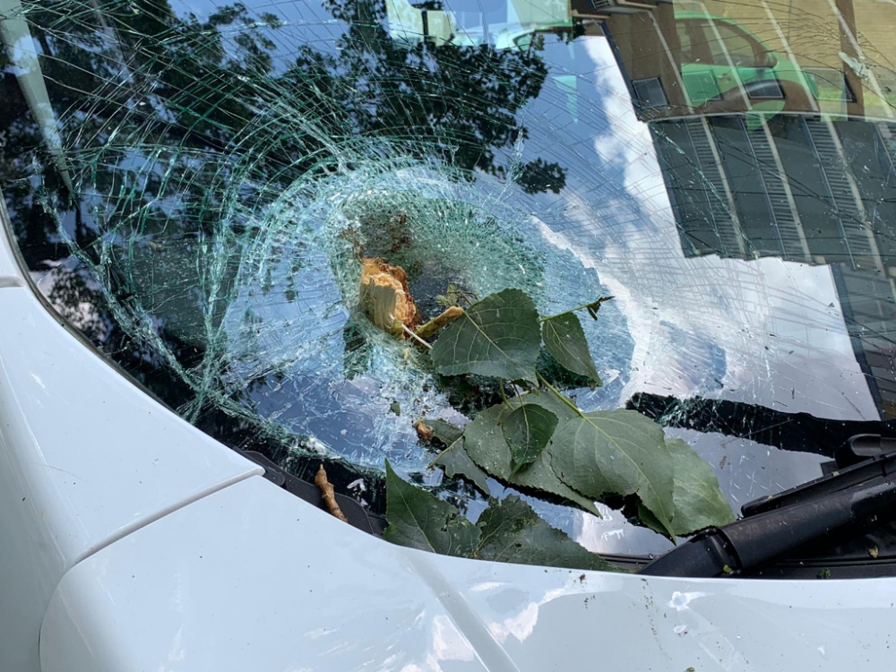 Flinke tak doorboort ruit busje in Nieuwland