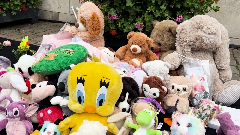 De knuffelzee voor het stadhuis tijdens de bijeenkomst voor het pleegmeisje op 31 mei 2024