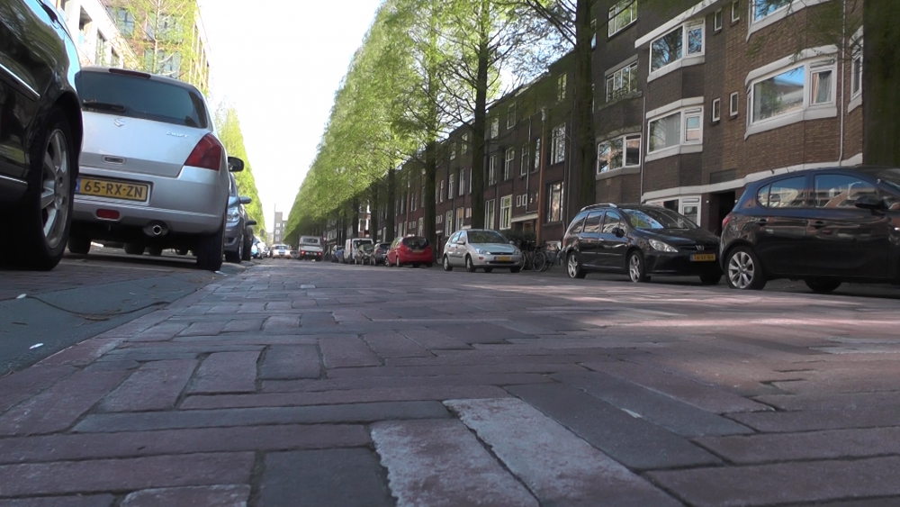 'Schiedamse Bomenridders niet zonder slag of stoot akkoord met kap 72 bomen PKO-Lorentzlaan in Schiedam-Oost'