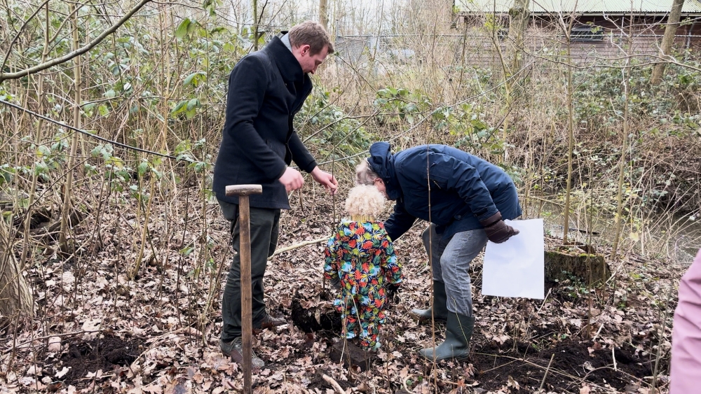 Nieuw thuis voor overtollige jonge boompjes in Beatrixpark