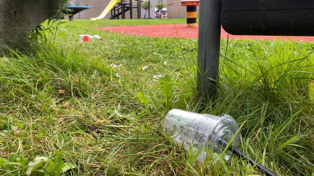 De strijd tegen zwerfafval op World Cleanup Day: 'Het is één van de grootste ergernissen'