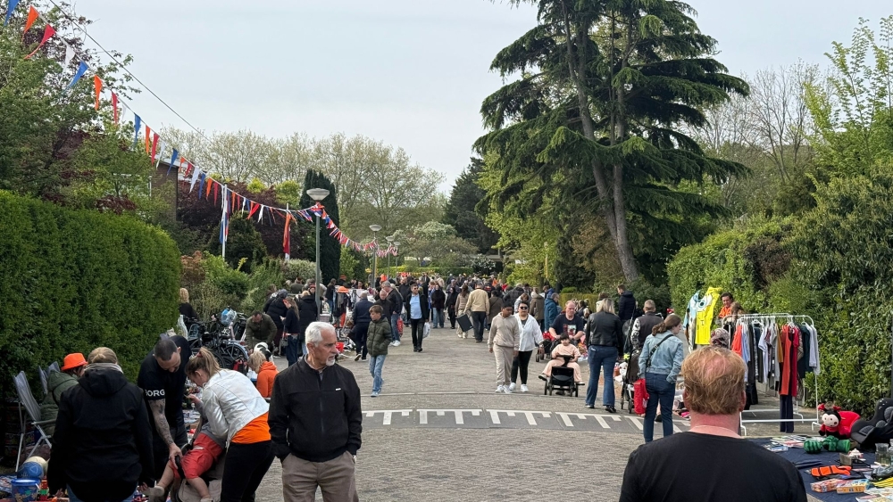 LIVE: Koningsdag in Vlaardingen en Schiedam
