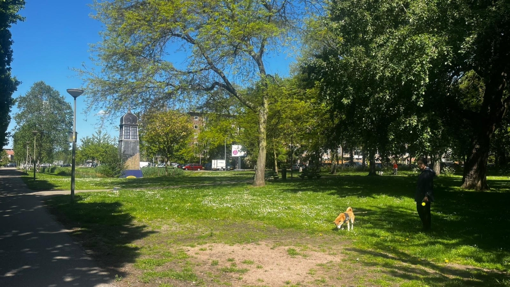 Parken rond Vlaardingerdijk krijgen een naam: ‘Strickledepark was nooit vastgesteld’