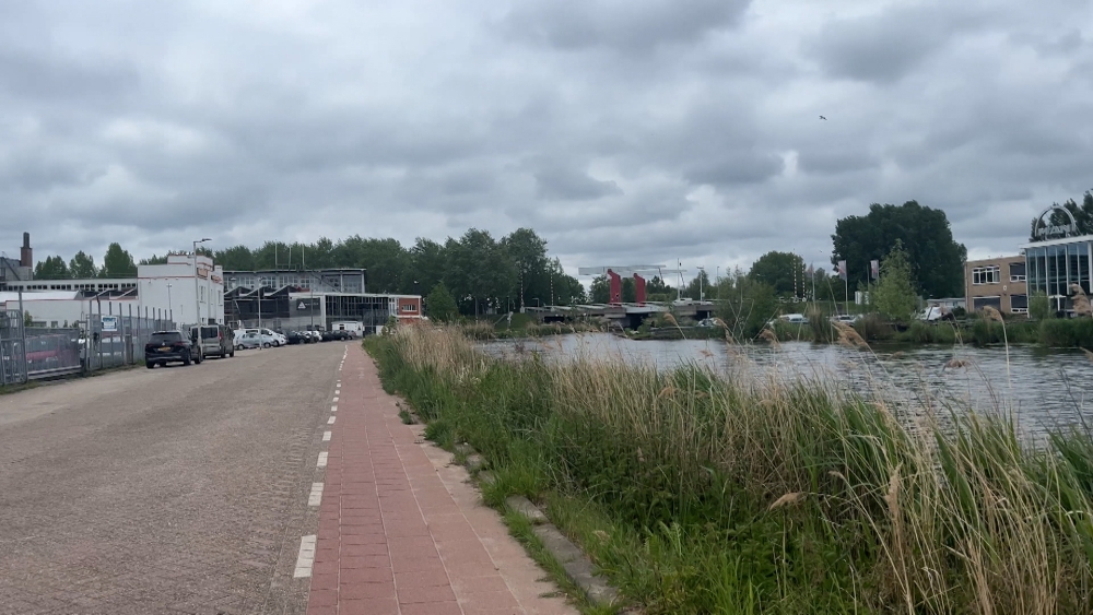 Te veel PFAS in Schiedams water ’s-Gravelandsepolder: risico bij zwemmen en vissen