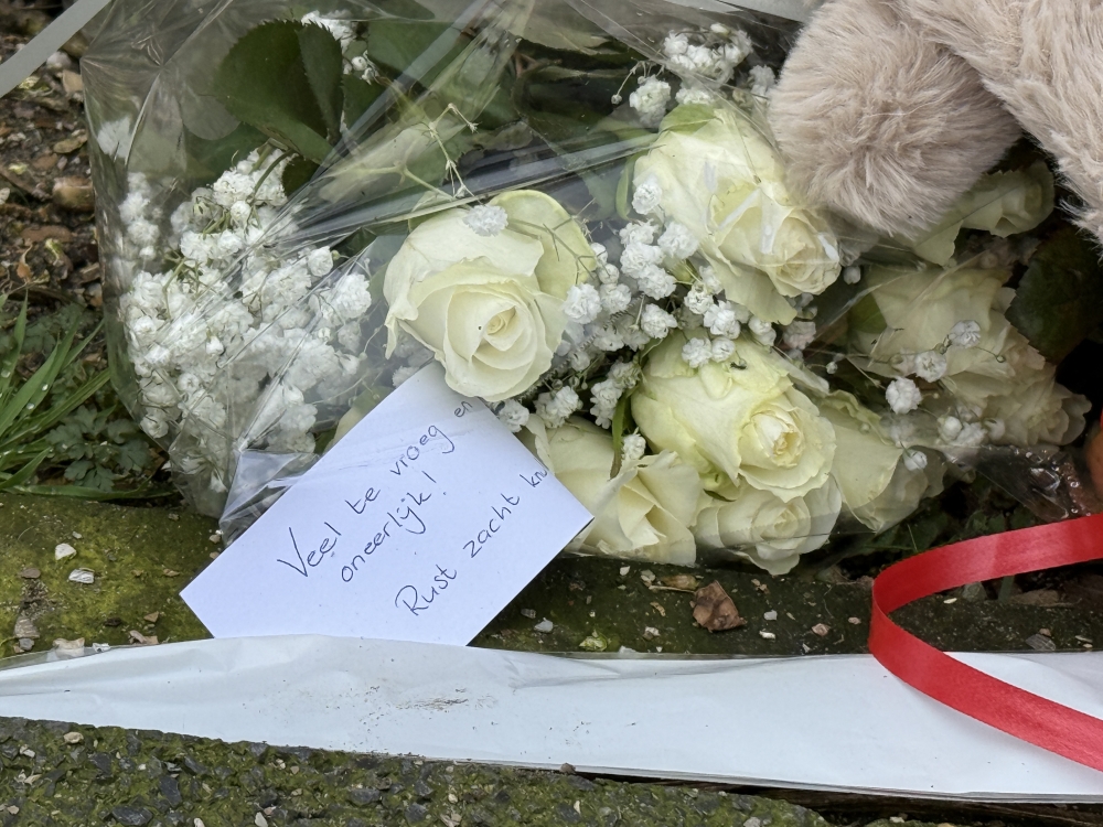 Gemeente organiseert inloopbijeenkomst in Sveaparken na fatale steekpartij