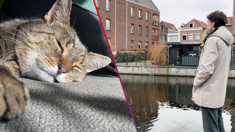 Coen opent petitie voor kattentrapjes, nadat twee katten van hem verdronken