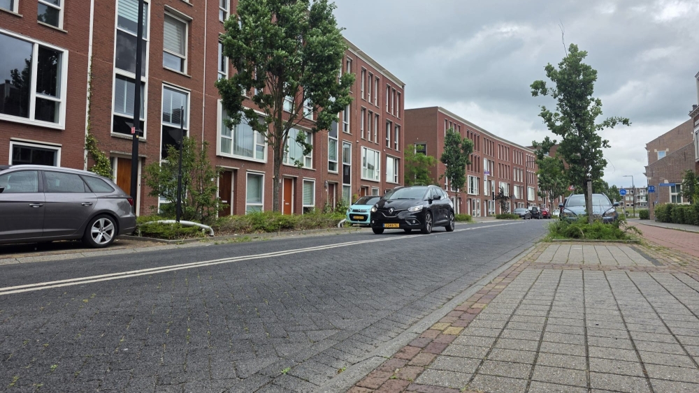 Wethouder zegt verkeersdrempel Hoflaan toe, realisatie binnen twee maanden