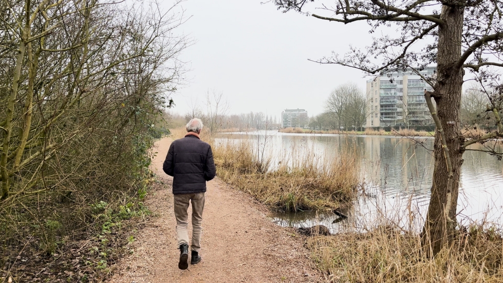 Droge voeten in de Broekpolder: nieuw wandelpad maakt gebied weer toegankelijk