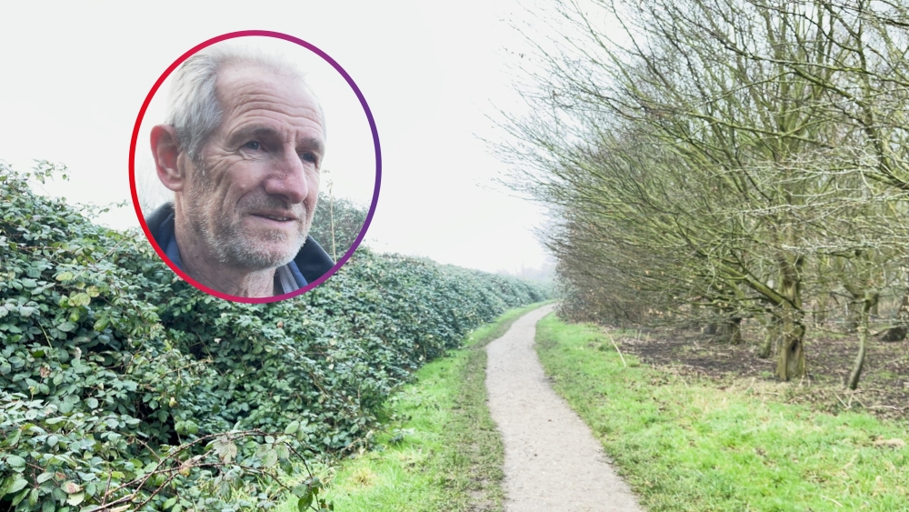 Broekpolder worstelt met stikstofprobleem: bramen nemen de overhand