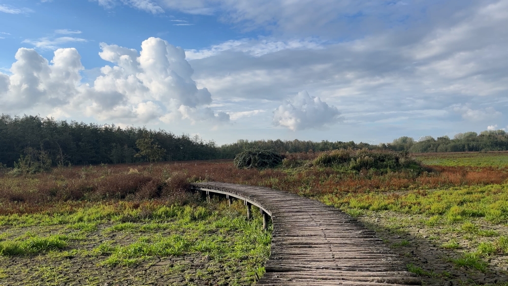 Eerst kletsnat, nu gortdroog: waar is het water in de Broekpolder gebleven?