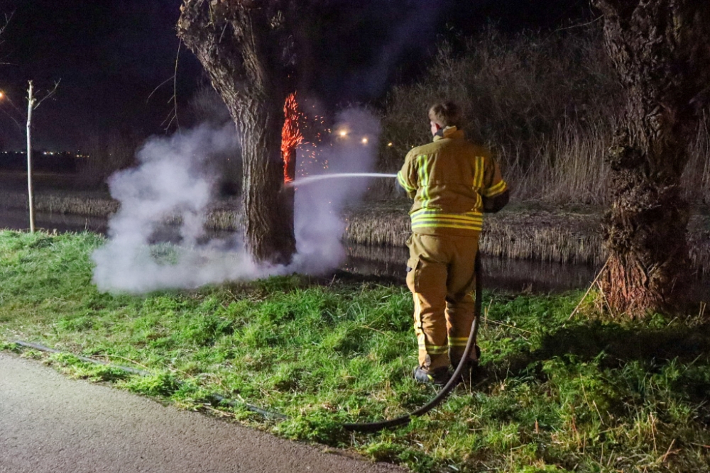 Voor de tweede keer boom in brand gestoken aan de Holyweg