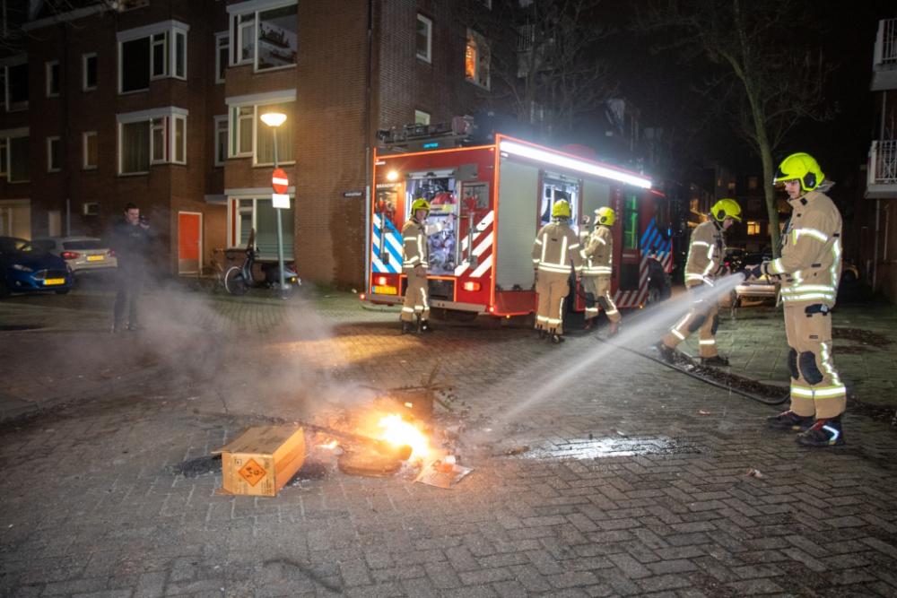 'Helaas zien we dat veel kerstbomen aan de straat gelegd worden'