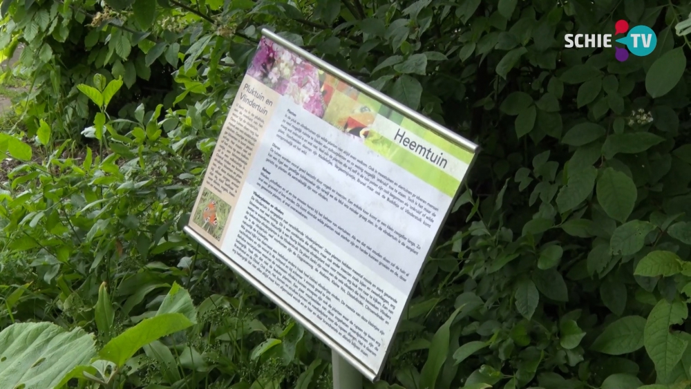 Burgemeester en wethouders gaan tijdens NL-doet vrijwillig aan de slag in heemtuin Beatrixpark