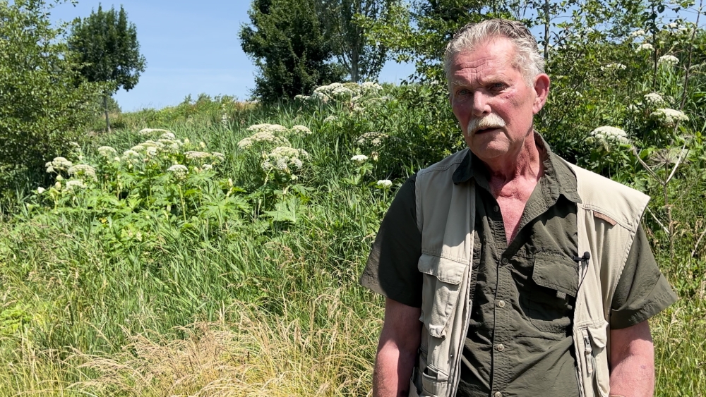 ‘Kappen die hap’: Ton wil betere aanpak rondom de berenklauw