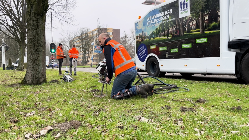 Bomenkap op Holysingel, maar ook 132 gered door ‘bosbodem na te bootsen’