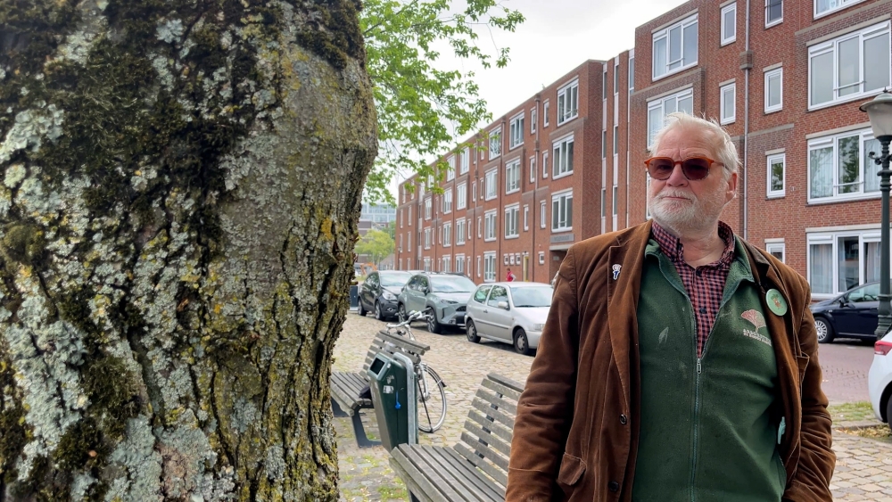 Gemeente Schiedam: 'Bomen Noordvest zijn niet ziek'
