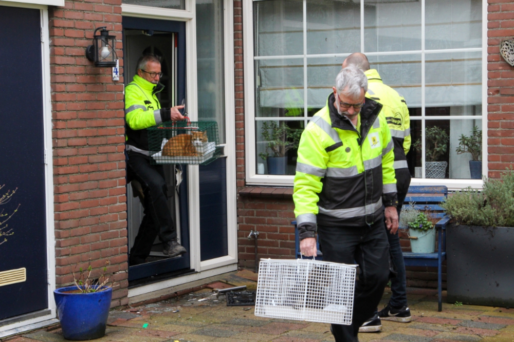 Ook 'blonde kat' terecht na woningbrand Woudhoek