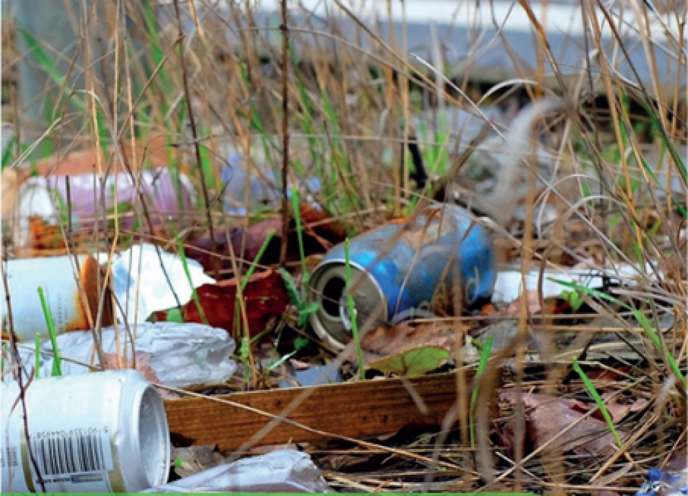 'Wie helpt mee om de Gorzen weer schoon te krijgen?'