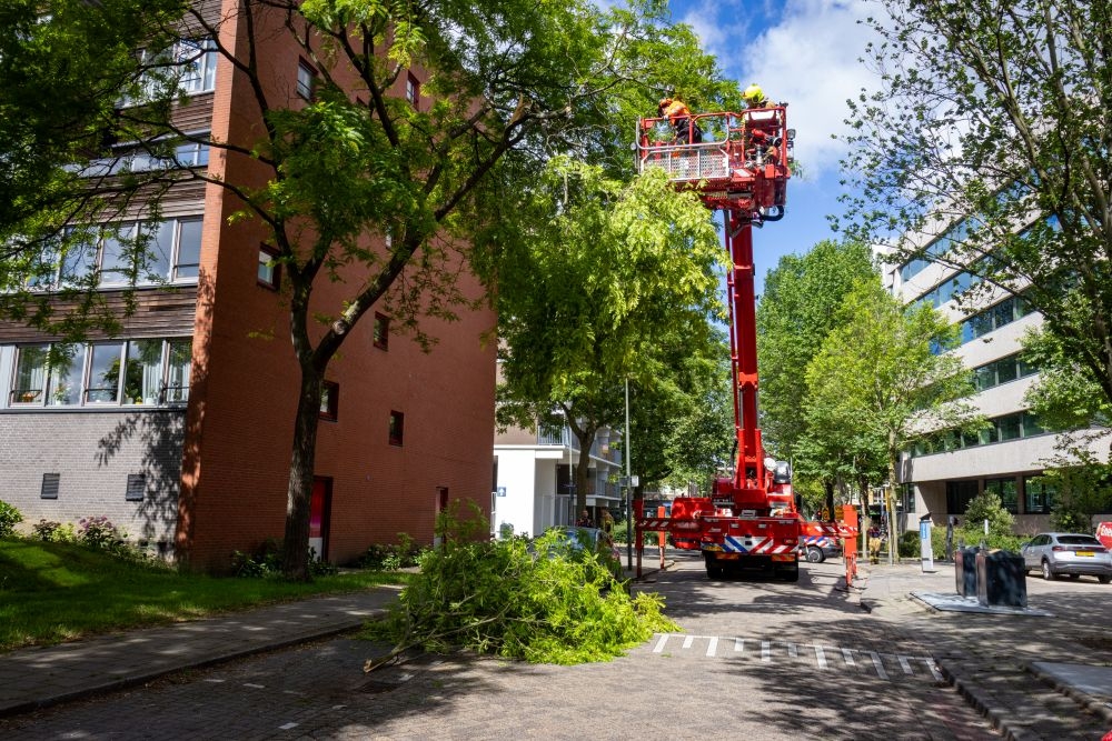 Brandweer haalt grote tak uit boom: bungelde boven auto's