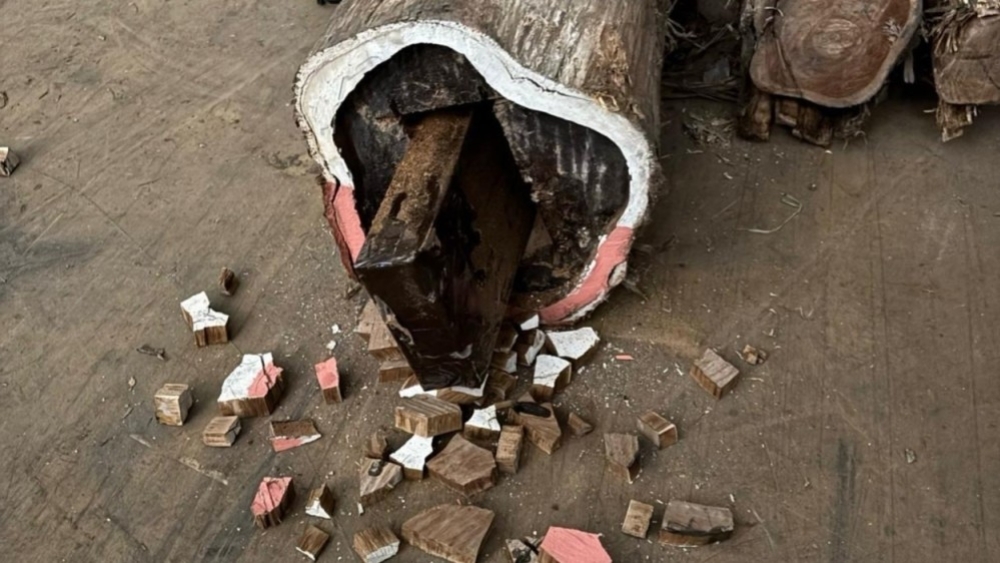 Bij een van de controles zaten de drugs verstopt in containers met boomstammen uit Brazilië