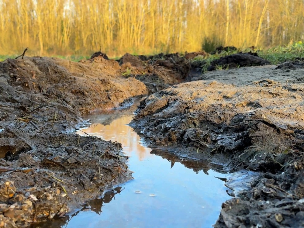 Graver van levensgevaarlijke gleuven op ruiterpaden meldt zich bij Staatsbosbeheer