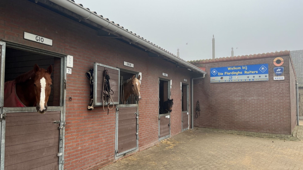 Btw-verhoging treft manege: stalhuur stijgt met 50 euro