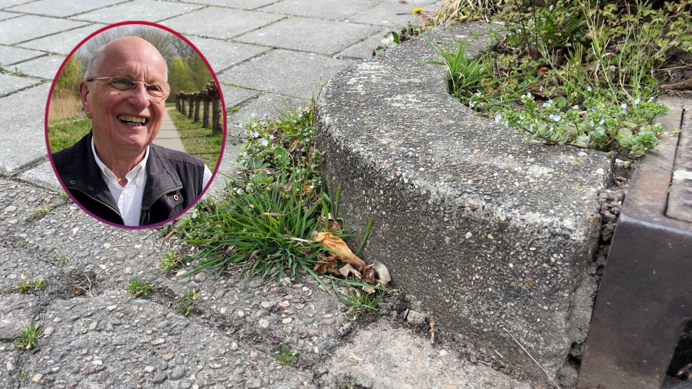 Onkruid vergaat niet, de manier van bestrijden wel