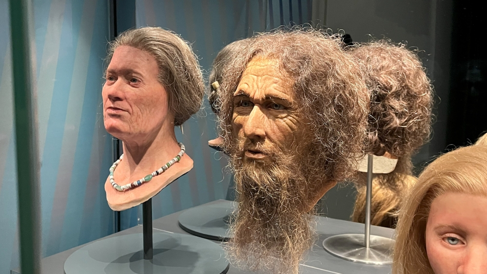 Vlaardingse vondsten in nieuwe tentoonstelling: ‘Gezicht van de Midden-Bronstijd’