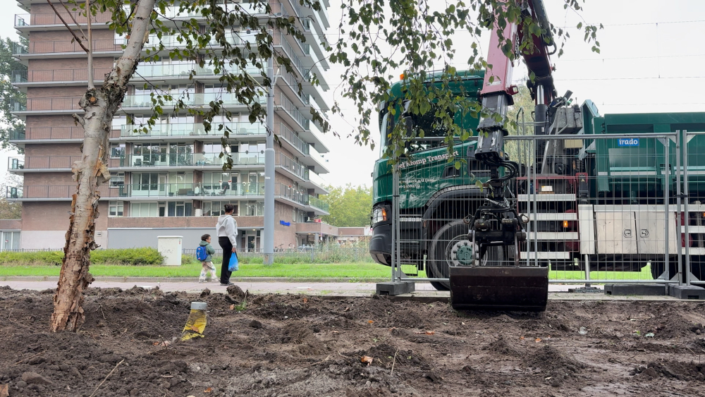 Oorzaak overleden Schiedamse honden gevonden? ‘Een aannemelijk scenario’